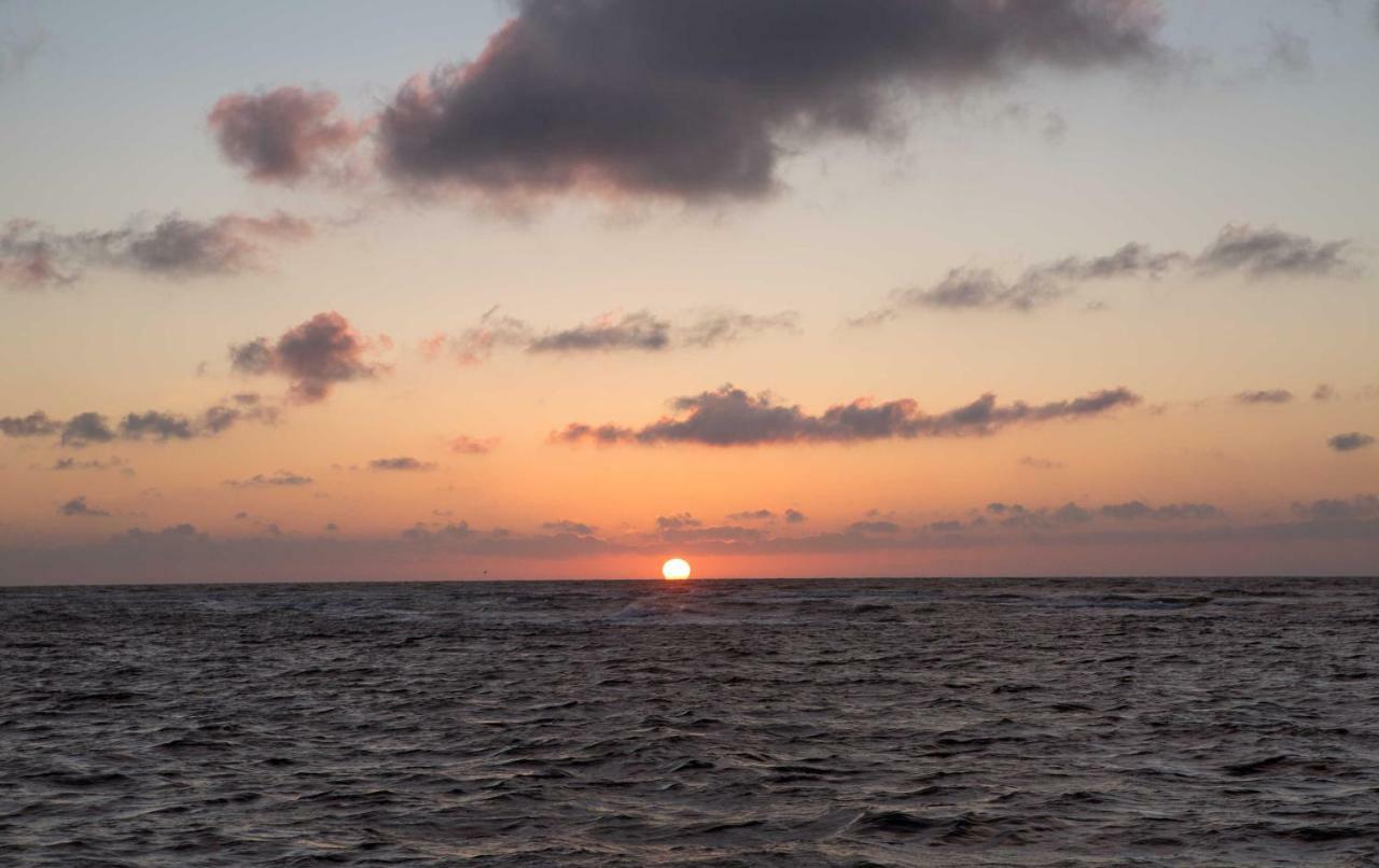 139 Ferienhaus Am Wattenmeer ซานเดอ ภายนอก รูปภาพ